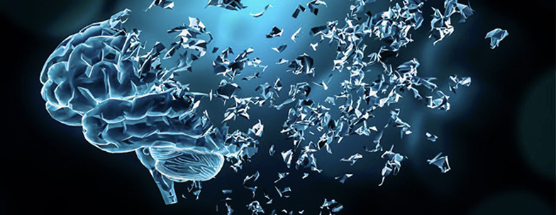 Spirulina, brain and neurodegenerative diseases